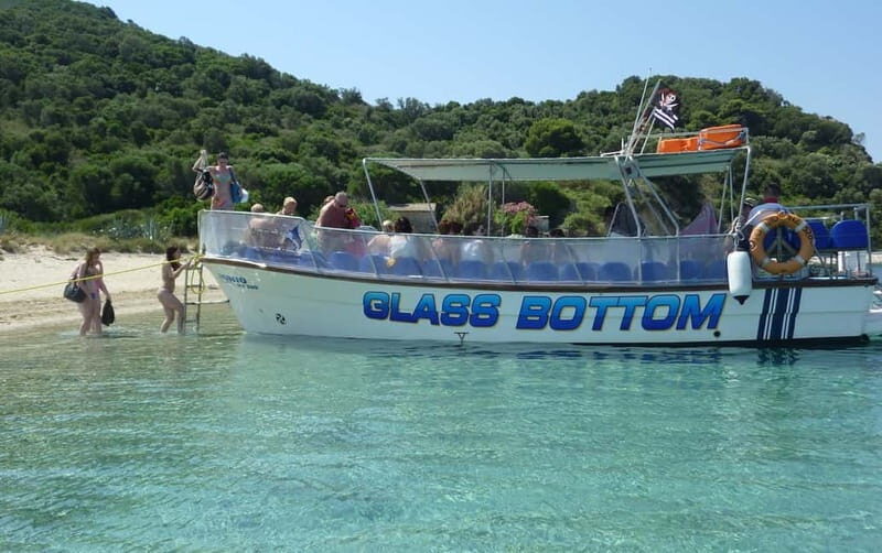 Zakynthos: Turtle Spotting Cruise with Glass-Bottom Boat - The Sum Up