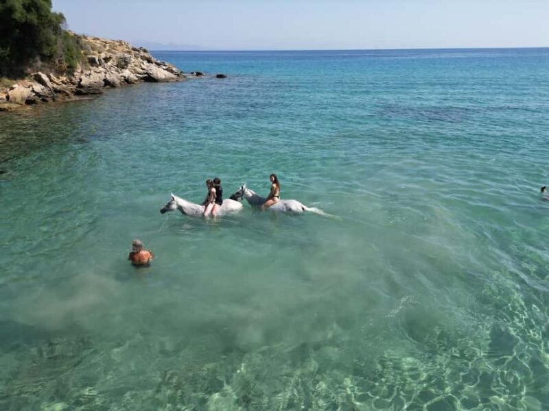 Zakynthos: Yotomu Horse Riding and Swimming Experience - Zakynthos: Yotomu Horse Riding and Swimming Experience
