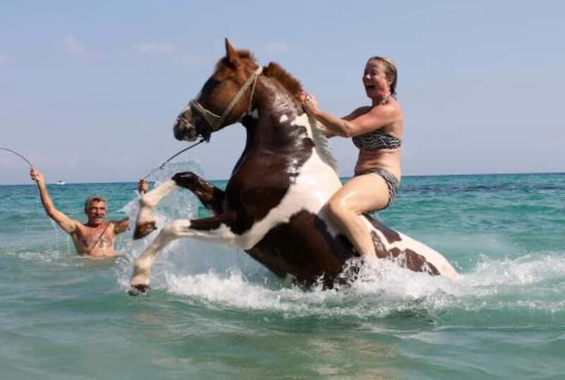 Zakynthos: Yotomu Horse Riding and Swimming Experience - Who Will Love This Tour?