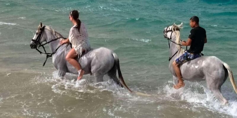 Zakynthos: Yotomu Horse Riding and Swimming Experience - FAQs