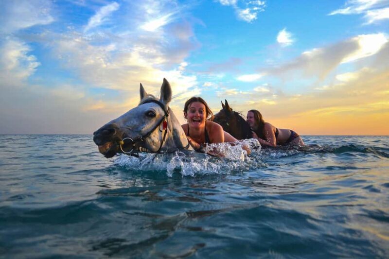 Zakynthos: Yotomu Horse Riding and Swimming Experience - Final Thoughts