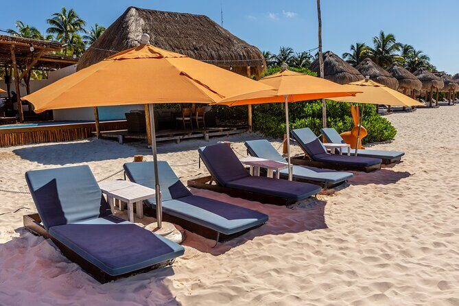 Zama Beach Club Day Pass and Isla Mujeres - Authentic Experiences and Real Reviews