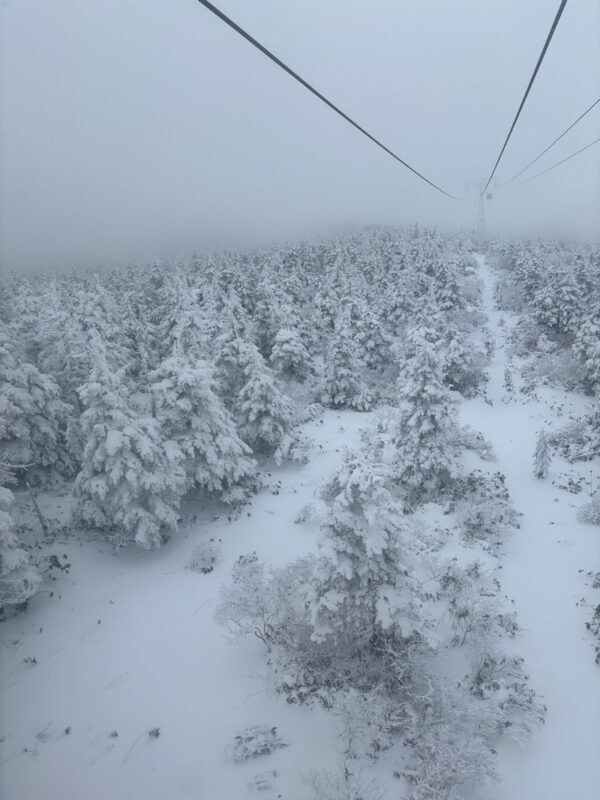 Zao Onsen Ski Lesson with Gear / Chinese Private Group (1-4) - Match the package to your day and budget