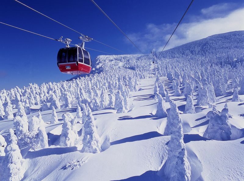 Zao Ropeway & Akiu Shrine Full-Day Tour - What makes this tour worth considering