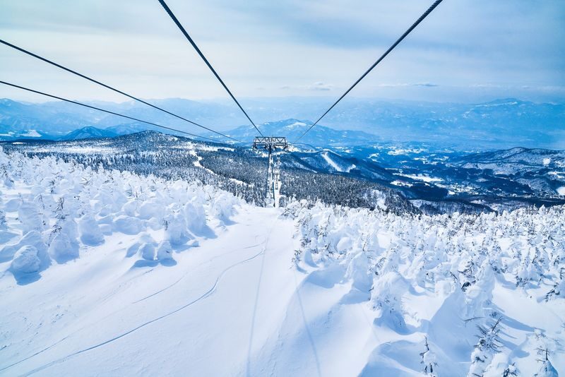 Zao Ropeway & Akiu Shrine Full-Day Tour - Zao’s snow monsters are the main event