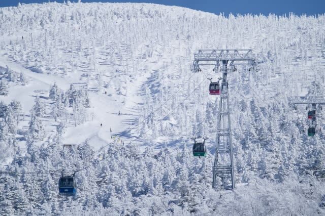 Zao Ropeway & Akiu Shrine Full-Day Tour - A local-products stop breaks up the mountain day