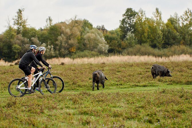 Zasavica Bike Tour - Exploring the Zasavica Bike Tour: An Authentic Serbian Nature Escape