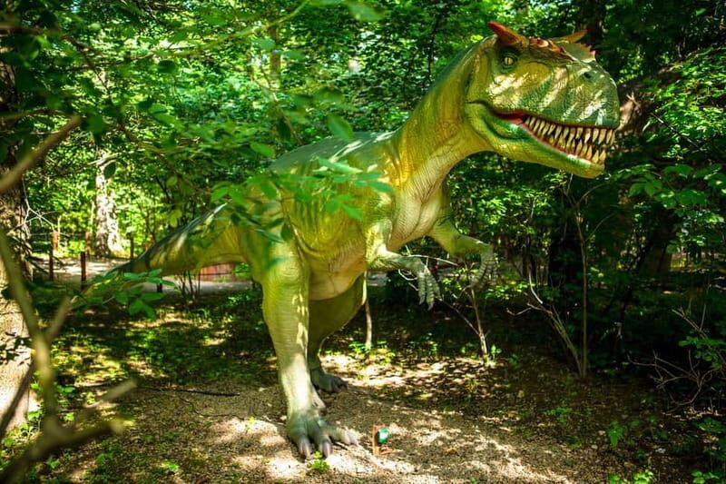 Zatorland Amusement Park: Entry Ticket - Who Should Consider Visiting Zatorland?