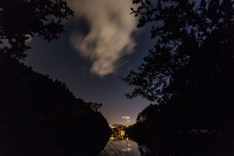 Zealandia by Night Tour - Who Will Love Zealandia by Night?