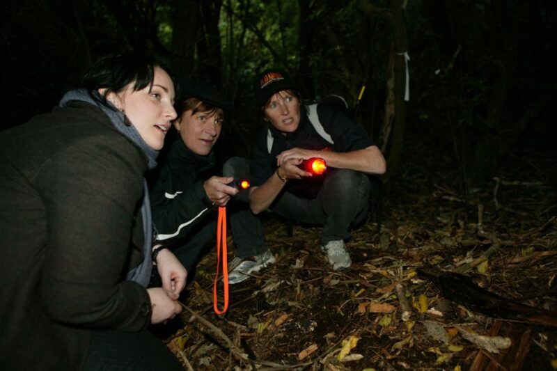 Zealandia by Night Tour - Final Thoughts