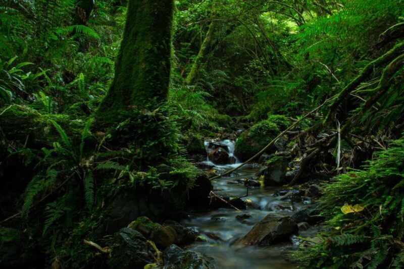 Zealandia by Night Tour - FAQ