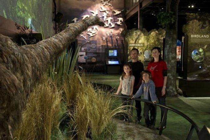 Zealandia Small Group Eco Wildlife Night Tour - Zealandia Small Group Eco Wildlife Night Tour: A Unique Adventure in Wellington