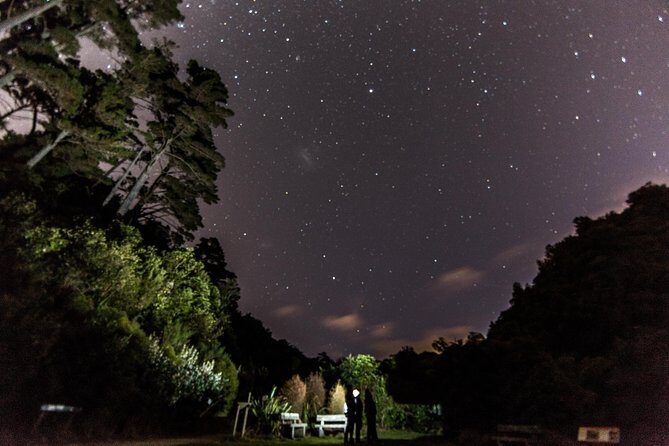 Zealandia Small Group Eco Wildlife Night Tour - Key Points