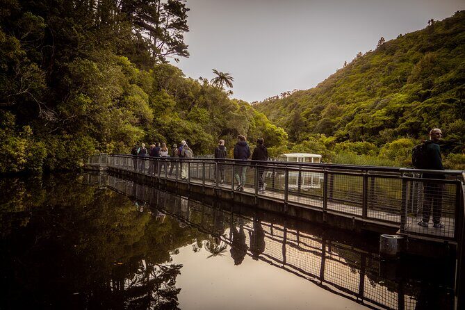 Zealandia Small Group Eco Wildlife Night Tour - Who Should Consider This Tour?