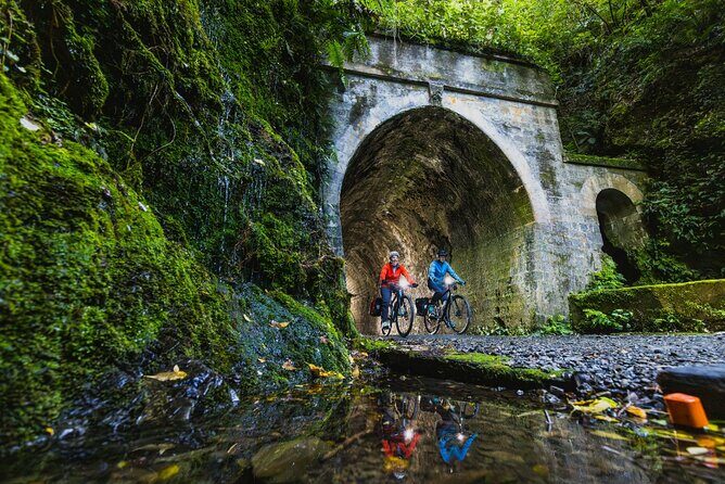 Zealandia Small Group Eco Wildlife Night Tour - FAQ