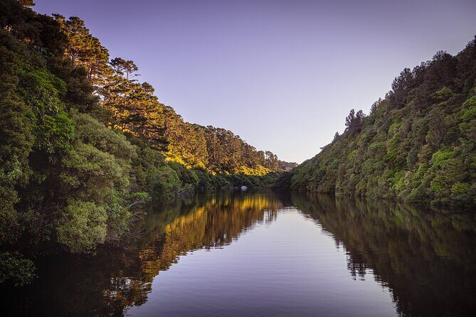 Zealandia - Twilight Guided Eco Wildlife Tour - A Detailed Look at Zealandia’s Twilight Eco Tour