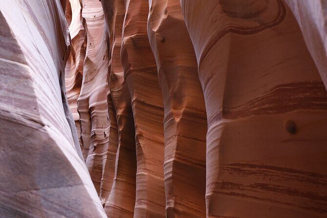 Zebra Slot Canyon Hiking Tour in Escalante - What to Expect at the Meeting Point and Transportation Details