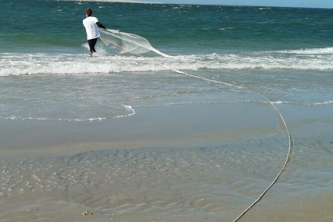Zeeland Beach safari with Fishnet NL/DE - Exploring the Zeeland Beach Safari: What You Can Expect