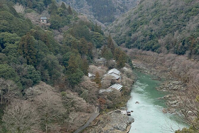 Zen Run in Arashiyama - A Deep Dive into the Zen Run Experience