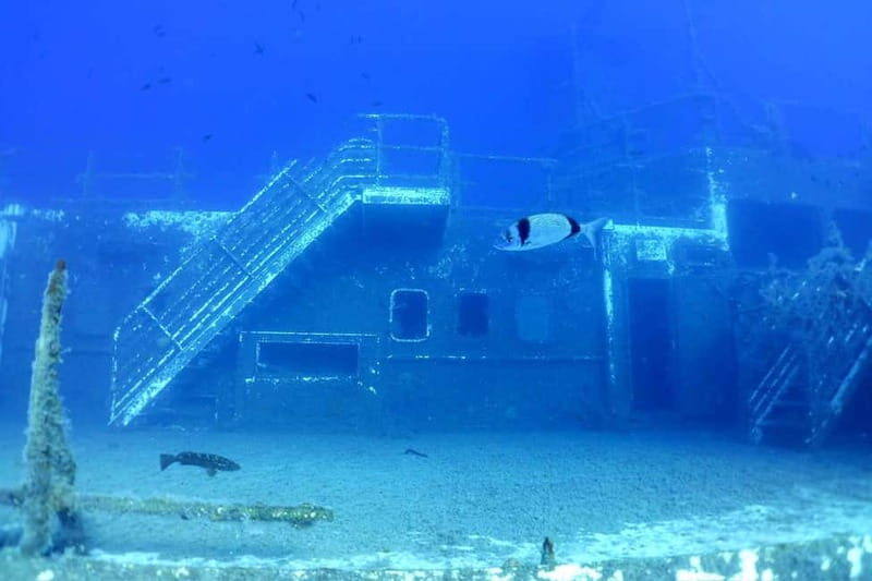 Zenobia Wreck: Private Guided Dive - A Closer Look at the Zenobia Wreck Guided Dive Experience
