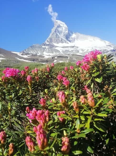 Zermatt: Matterhorn Glacier Paradise & Schwarzsee Hike - Final Thoughts: Is This Tour Right for You?