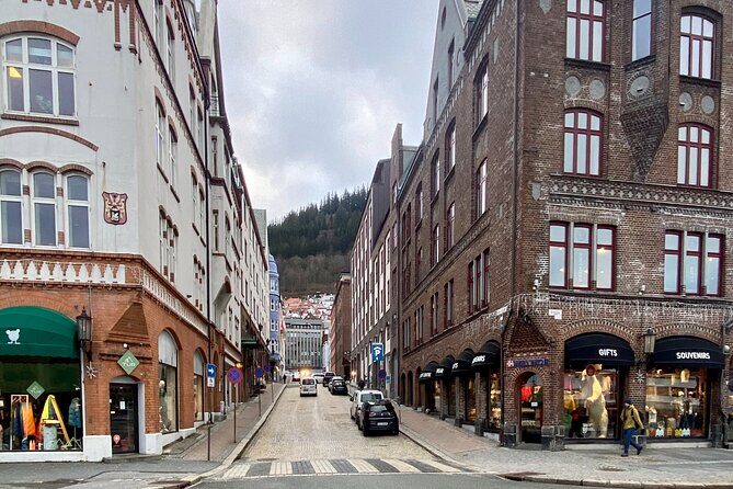 Zero Emission Bergen City Tour By Car - Who Should Consider This Tour?