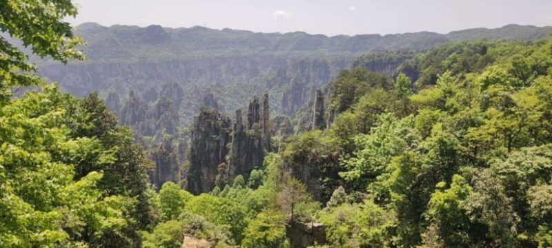 Zhangjiajie: National Forest Park 1-Day VIP Private Tour - Key Points