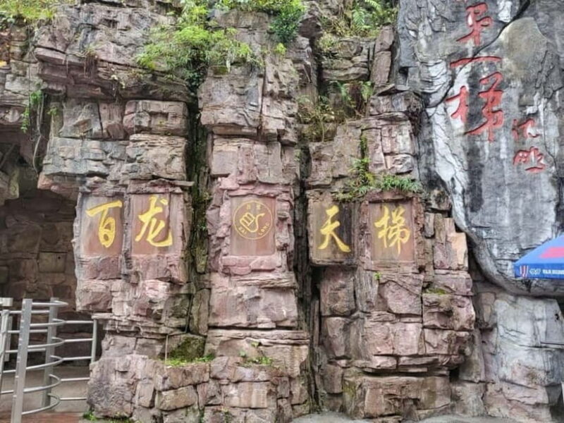 Zhangjiajie: National Forest Park 1-Day VIP Private Tour - Ticketing and Extras: What’s Included and What’s Not