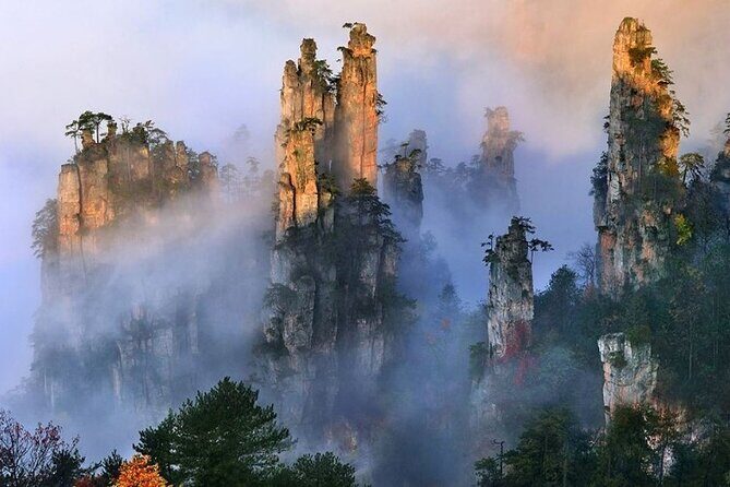 Zhangjiajie National Forest Park Entrance Ticket - Key Points