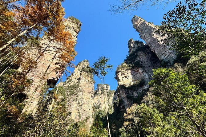Zhangjiajie National Forest Park Tickets Booking - Exploring Zhangjiajie National Forest Park: What You Can Expect
