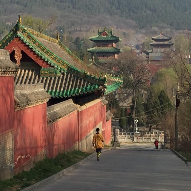Zhengzhou: Private Guided Tour/Transfer to Shaolin Temple - Who Should Consider This Tour?