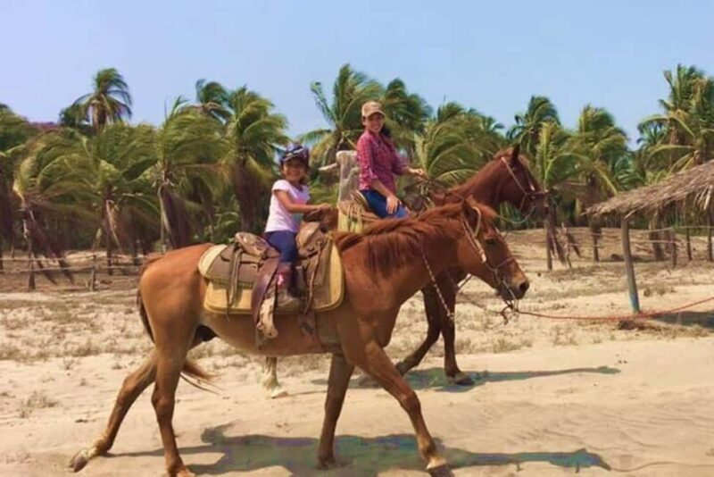 Zihuatanejo: Horseback Riding Tour with Playa Larga Beach - Discovering Zihuatanejo on Horseback: What to Expect