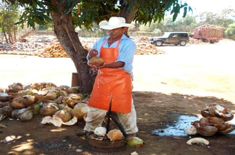 Zihuatanejo Ixtapa: City Tour - What Travelers Say