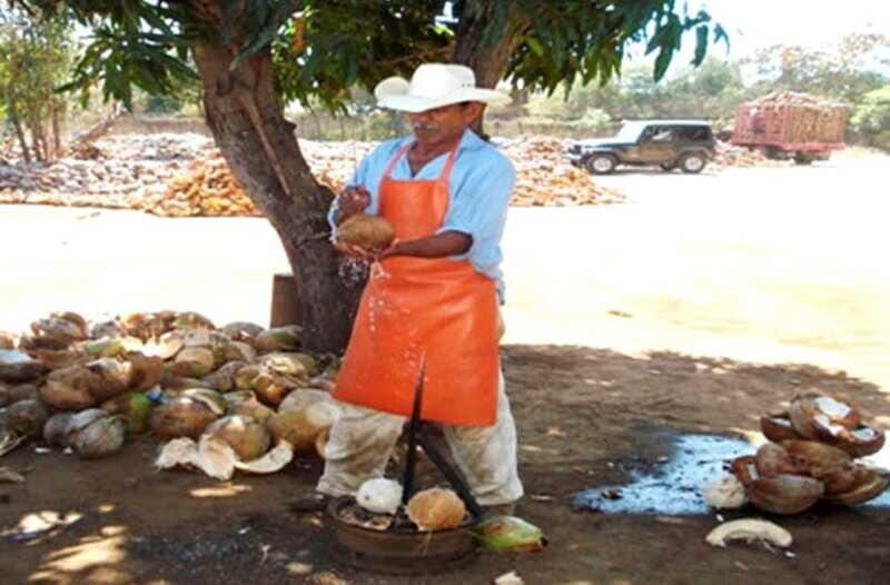 Zihuatanejo Ixtapa: City Tour - Price & Value Analysis