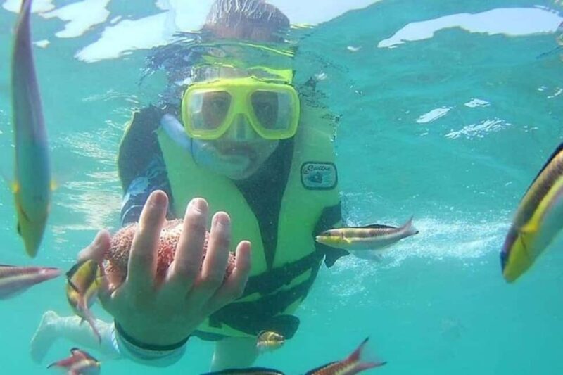 Zihuatanejo: Las Gatas Beach Snorkeling and Kayaking Tour - Key Points