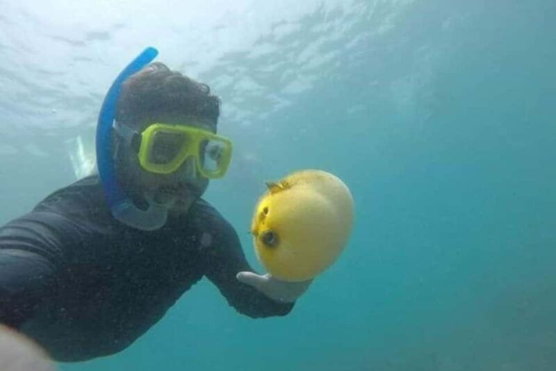 Zihuatanejo: Las Gatas Beach Snorkeling and Kayaking Tour - FAQ