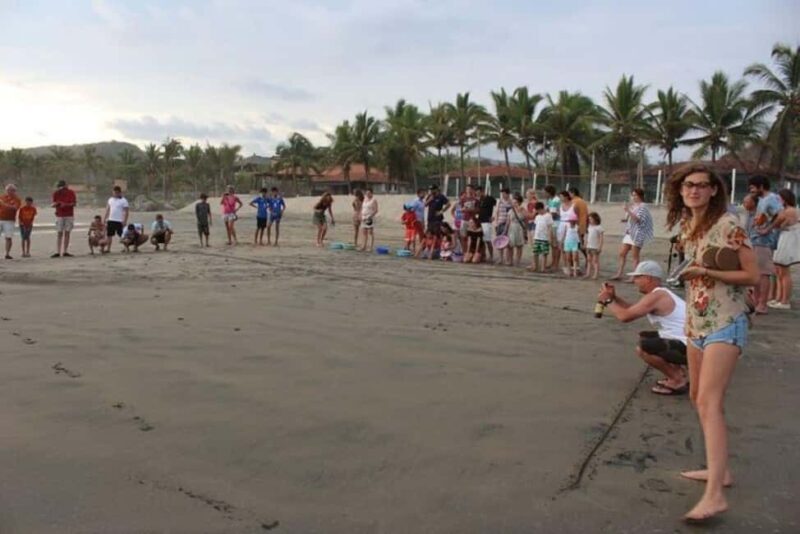 Zihuatanejo: Troncones,Manzanillo Bayband Majahua Beach Tour - Key Points