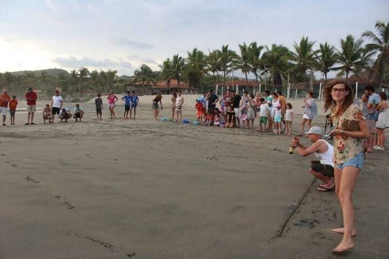 Zihuatanejo: Troncones,Manzanillo Bayband Majahua Beach Tour - Authentic Experiences and Local Flavor