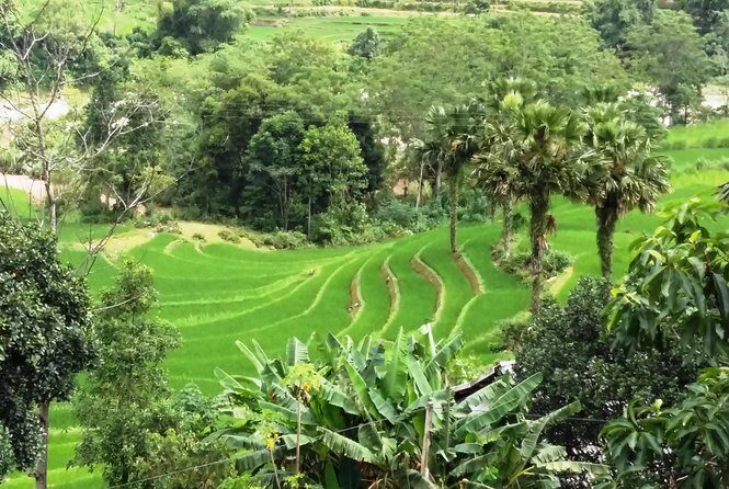 ZinDin Tours in Hagiang - FAQs