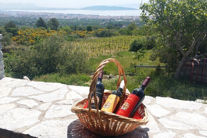 Zinfandel Wine Tour from Split - Key Points