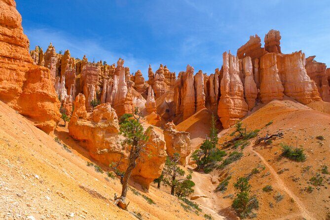 Zion and Bryce Canyon National Park Day Tour from Las Vegas - Key Points
