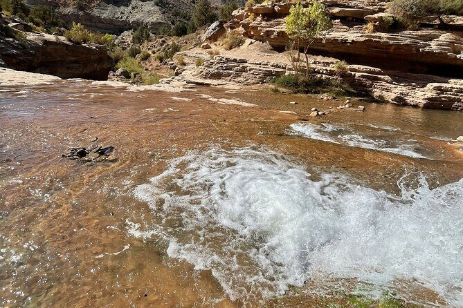 Zion Hummer Tour to Zion Waterfall with swimming - Who Will Love This Experience?