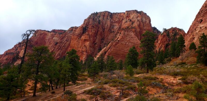 Zion National Park - Kolob Terrace: 1/2 Day Sightseeing Tour - FAQs