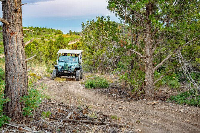 Zion Sunset Jeep Tour - Key Points