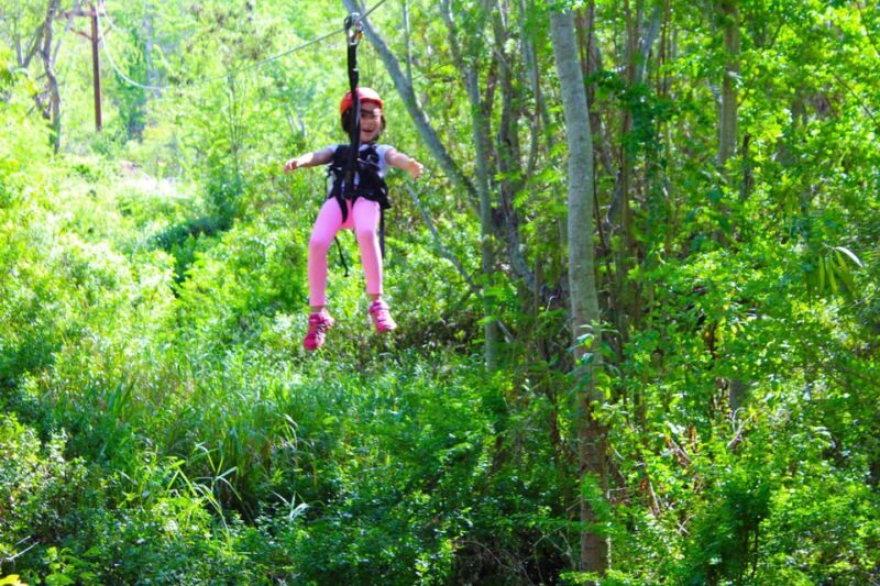 Zip & Dip: 3 Ziplines + Wet 'n' Wild Hawaii Waterpark - Key Points