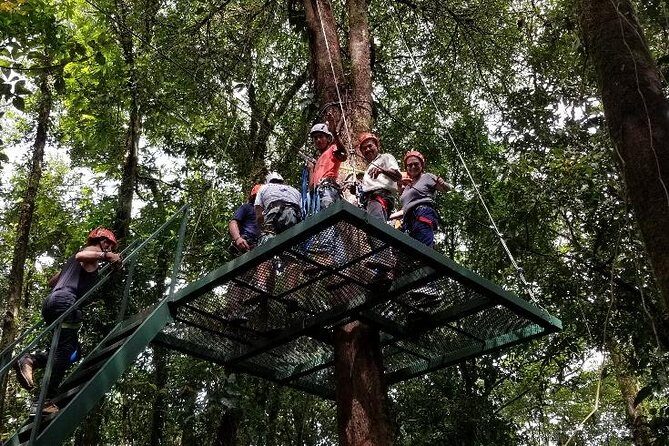Zip-line Adventure - A Closer Look at the Costa Rican Zip-line Experience