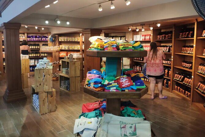 Zip Line Adventure or Zipline (Canopy) in Punta Cana - The Sum Up