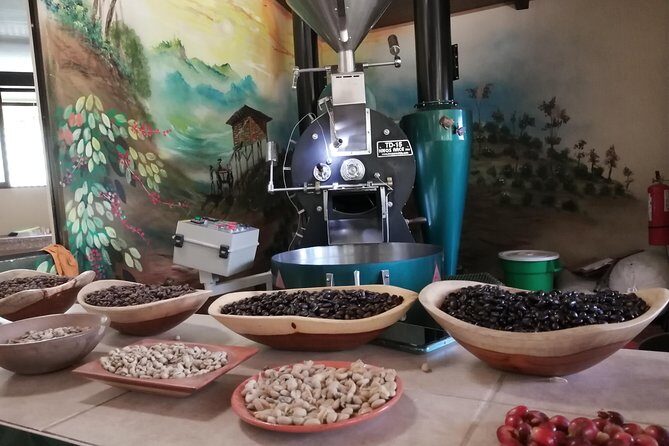 Zip line, Hot Springs, horses and More Aventure. - An Exciting Day in Liberia: Zip Lines, Hot Springs, Horses, and More