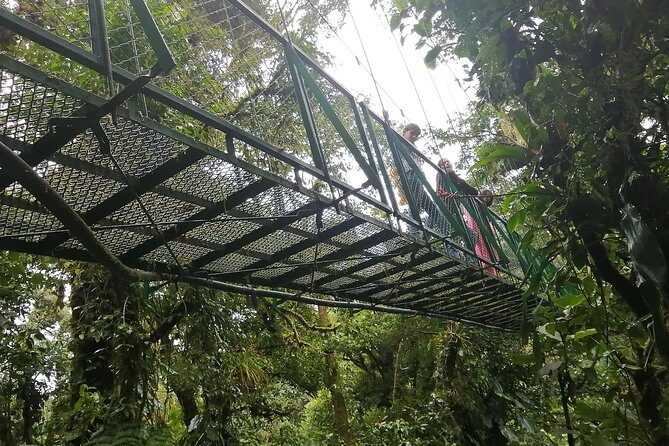 Zip line, Hot Springs, horses and More Aventure. - Final Thoughts