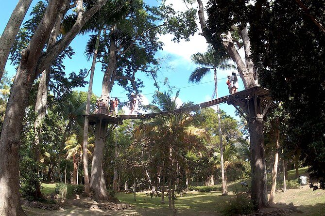 Zip Line over the Dunns River Falls - Key Points